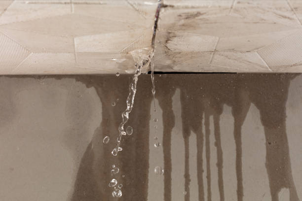 Professional Sewage Cleanup technician working in Washington, WV